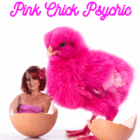 Pink Chick Psychic & Dream Guide for soul mates, twin flames, lovers, lost loves, first loves - Psychic Love Readings that will stirr your soul.