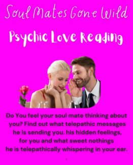 Soul Mates Gone Wils Psychic Love Reading - Find out your soul mate and lover's exact feelings for you and future