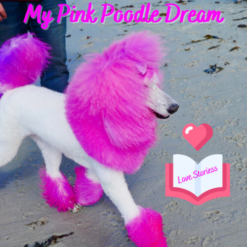 My Pink Poodle Love Stories Dream